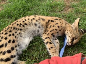 Madison and Alyssa from Canada 